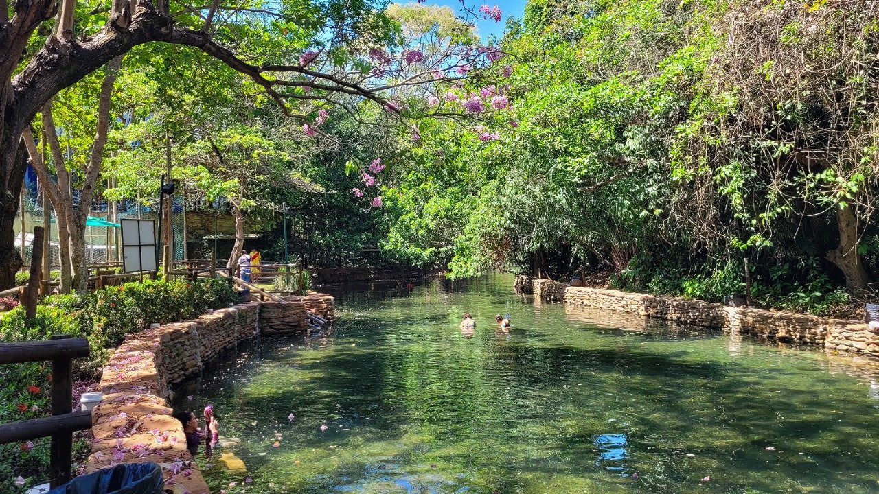 Foto THERMAS PARADISE 