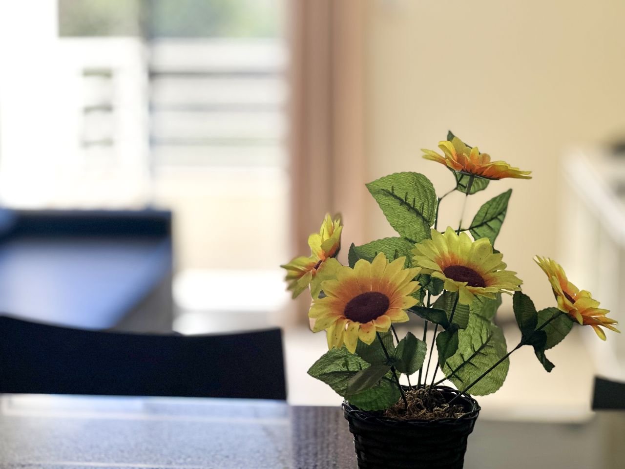 Fotos apartametnos THERMAS PARADISE  RIO QUENTE