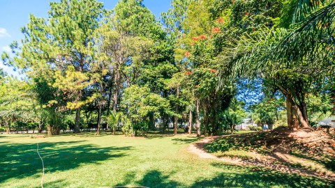 Conheça o Jardim Japonês em Caldas Novas