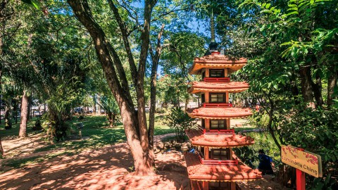 Conheça o Jardim Japonês em Caldas Novas