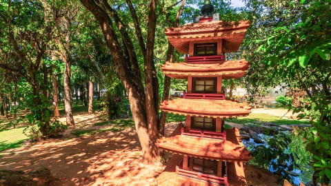 Conheça o Jardim Japonês em Caldas Novas