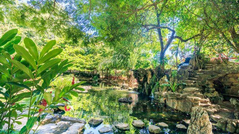 Conheça o Jardim Japonês em Caldas Novas