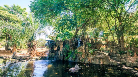 Conheça o Jardim Japonês em Caldas Novas