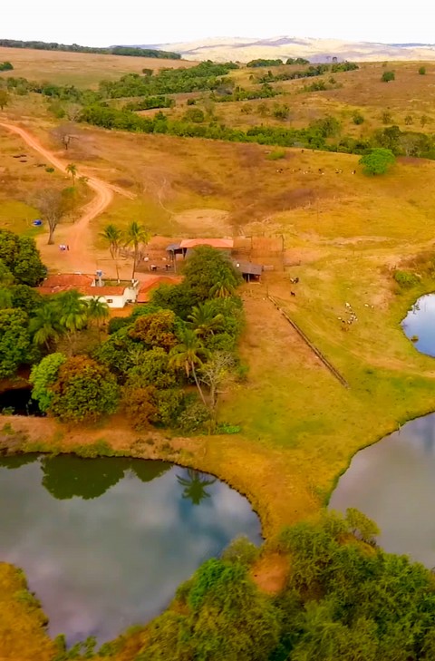 Fazenda  de 68 alqueires Goiano (4,8 hectares) a venda em Goiás no Município de Marzagão